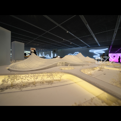 1:300 Scale Architectural Model | MAD Architects Foshan Nanhai Art Center Curved Building Exhibition Model